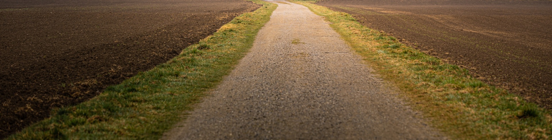 Wirtschaftsweg