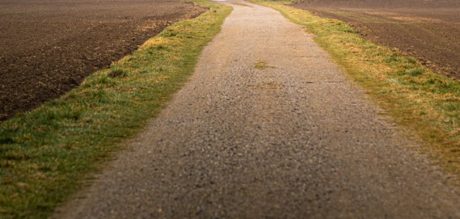 Wirtschaftsweg