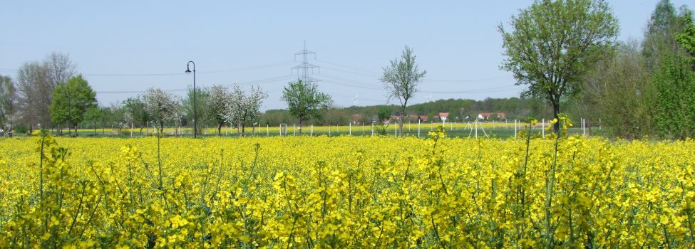 Leben in Böhl-Iggelheim