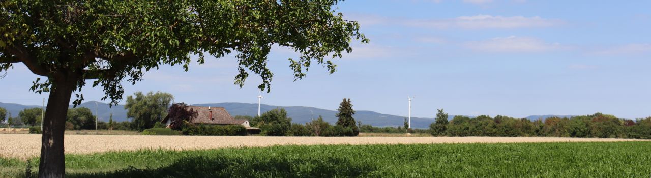 Herzlich Willkommen in Böhl-Iggelheim