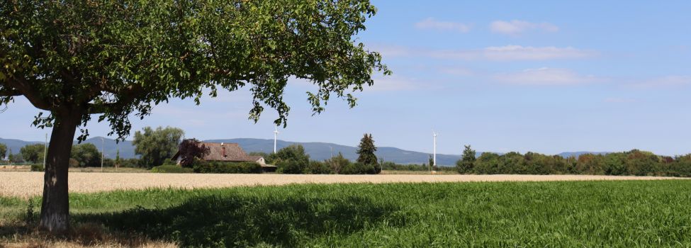 Herzlich Willkommen in Böhl-Iggelheim